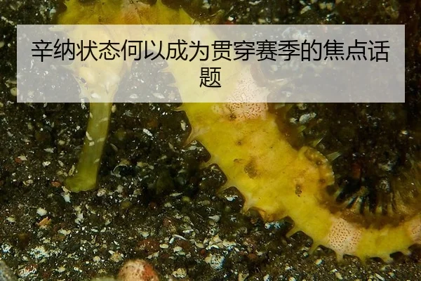 xin-na-zhuang-tai-he-yi-cheng-wei-guan-chuan-sai-ji-de-jiao-dian-hua-ti-2-400.jpg